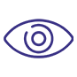 vision